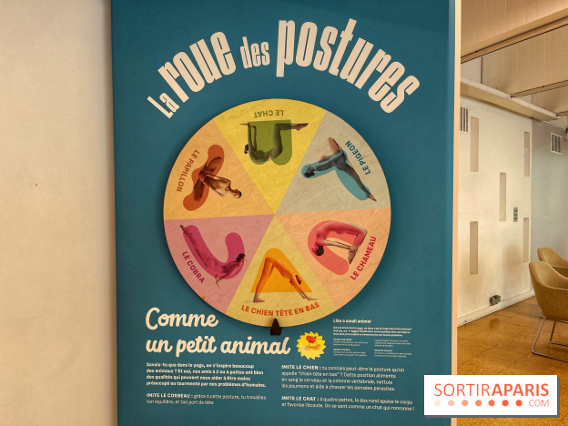 Maitre Yoga - IMG 1868