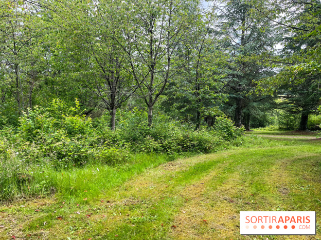 Arboretum de la Roche-Guyon - nos photos
