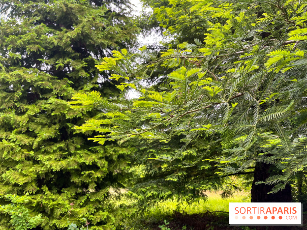 Arboretum de la Roche-Guyon - nos photos