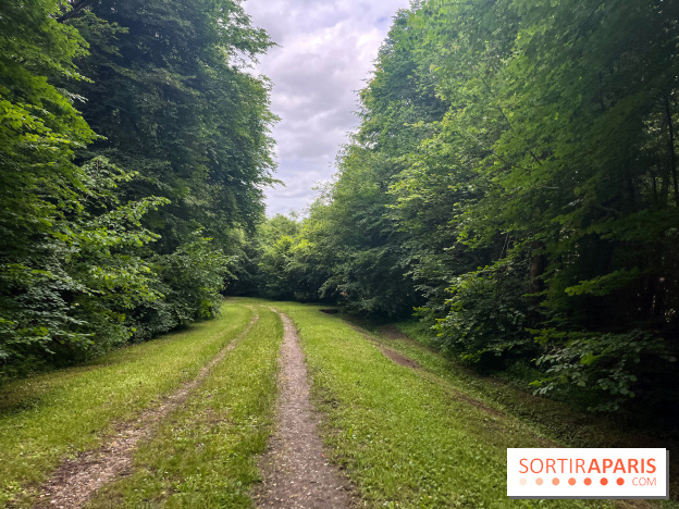 Arboretum de la Roche-Guyon - nos photos - image00001