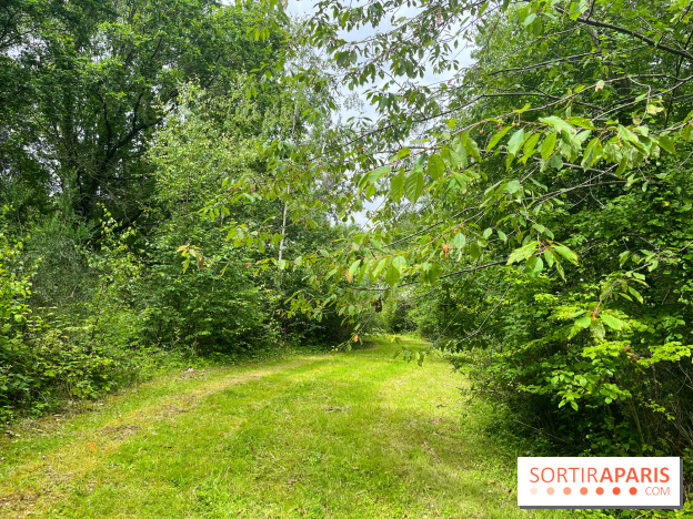 Arboretum de la Roche-Guyon - nos photos - image00002