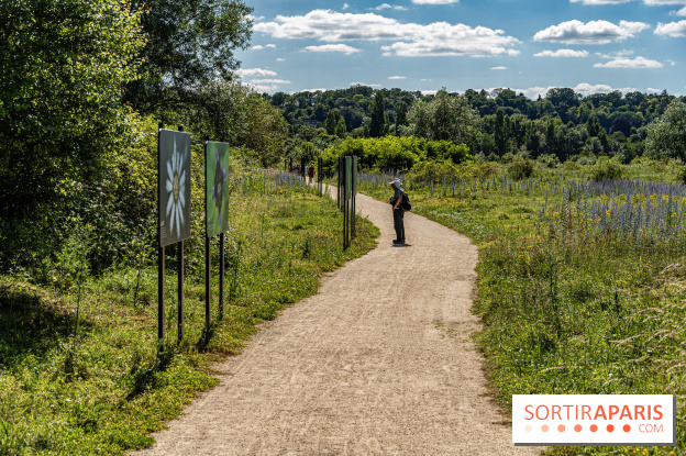 Le Parc du peuple de l'herbe dans les Yvelines - Étang de Galiotte - Carrières-sous-Poissy