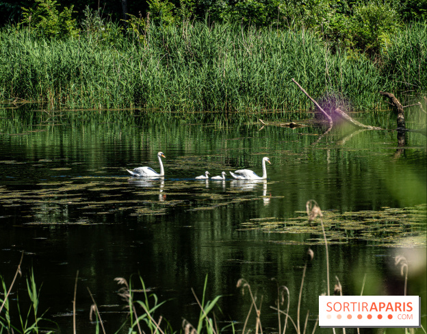 Le Parc du peuple de l'herbe dans les Yvelines - Étang de Galiotte - Carrières-sous-Poissy