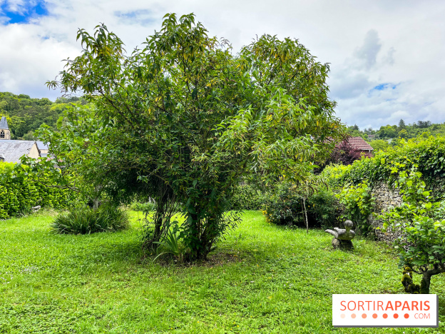 Le Jardin du Yoga à la Roche-Guyon - nos photos - image00004