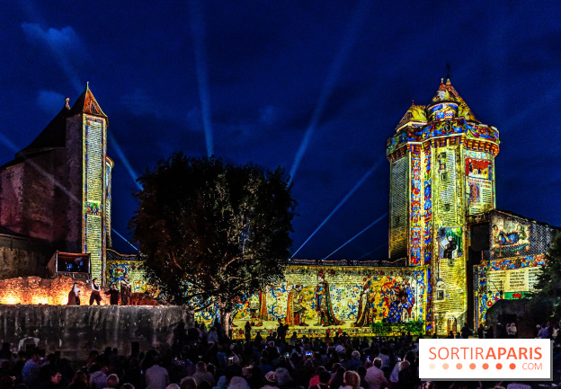 Lumières de Blandy : l'héritage des vicomtes, le spectacle sons et lumières -  acteurs