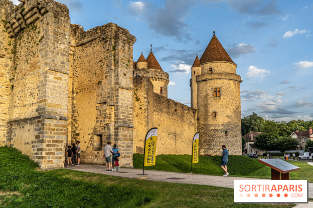 Le Château de Blandy-les-Tours en Seine-et-Marne (77), nos photos -  A7C7946