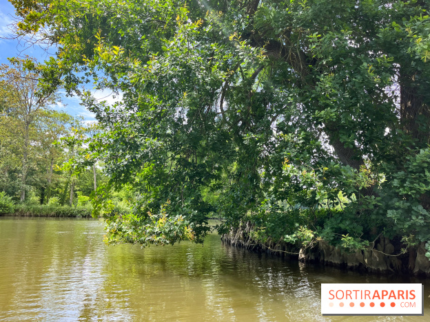 Domaine de Chamarande - nos photos - image00007