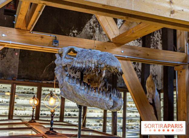 Un dinosaure géant au Château de Dampierre - Jurassique au Château de Dampierre -  A7C8908