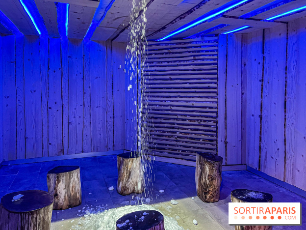 Calicéo Saint-Cyr-l'École, l'immense espace SPA aquatique de remise en forme
