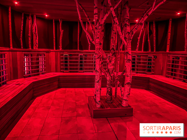 Calicéo Saint-Cyr-l'École, l'immense espace SPA aquatique de remise en forme