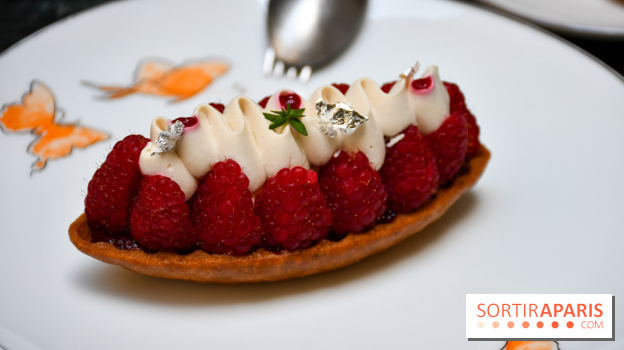 Comestibles comptoir gourmand et terrasse confidentielle par Paul Pairet à l'Hôtel de Crillon - DSC 1771