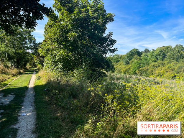 Le parc Georges-Valbon de la Courneuve - nos photos - image00001