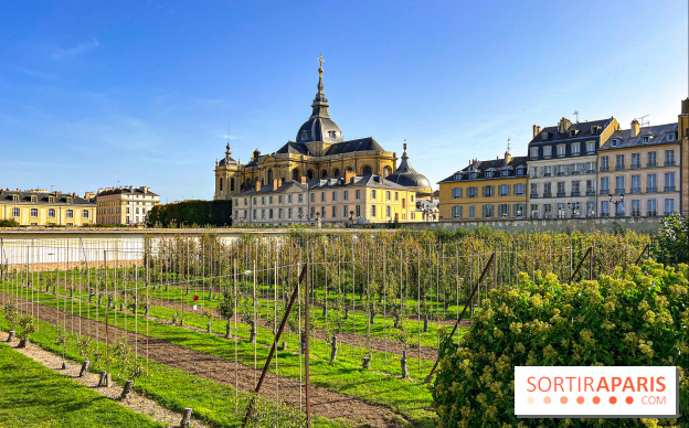 Les Saveurs du Potager du Roi à Versailles : marché de fruits & légumes, expositions et animations - image00055