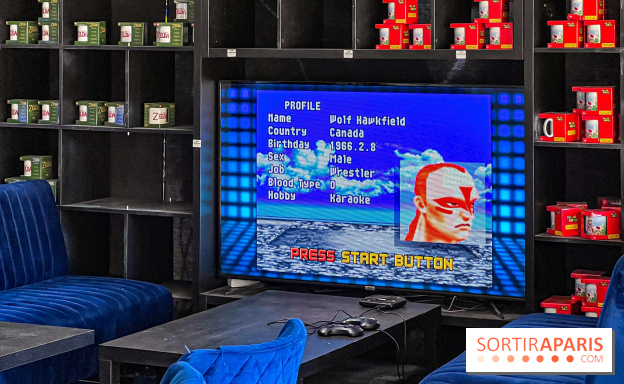 Musée Pop Central - voitures de cinéma et arcades vintage - image00103