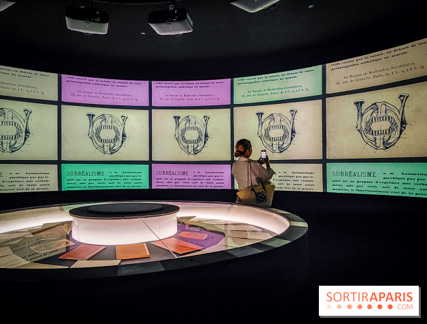 Le surréalisme : l'exposition exceptionnelle qui célèbre les 100 ans du mouvement au Centre Pompidou - IMG20240903165550