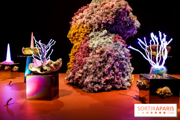 “Forêts astrales” : nos photos de l'exposition gratuite à voir à l'Institut suédois à Paris