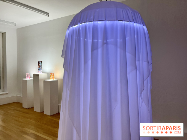 La lumière comme Matière, l'exposition de Meaghan Matthews au Centre Tignous - IMG 9650 2