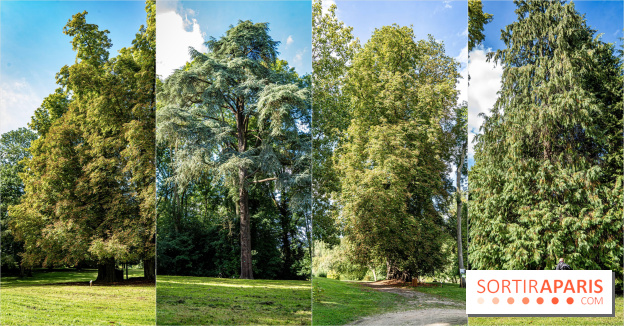 Le désert de Retz, le parc anglo-chinois insolite dans les Yvelines - 84ED8EA6 BBEF 4259 B500 E9CDDD3358B5