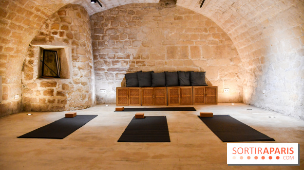 Maison Alaena, le repaire du bien-être à République - DSC 2037 2