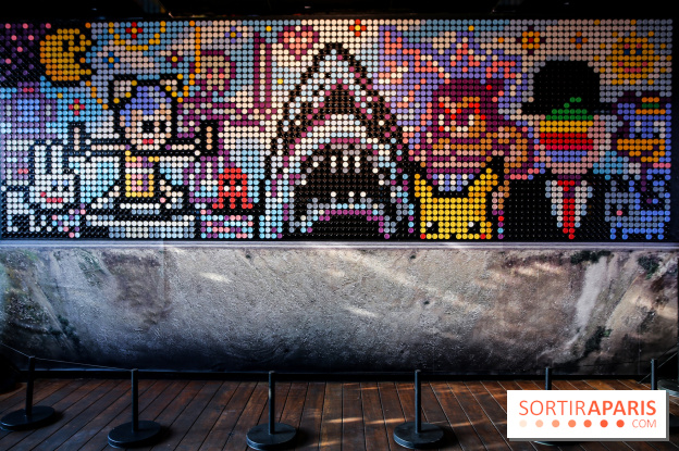 Speedy Graphito à Fluctuart, nos photos - IMG 6016