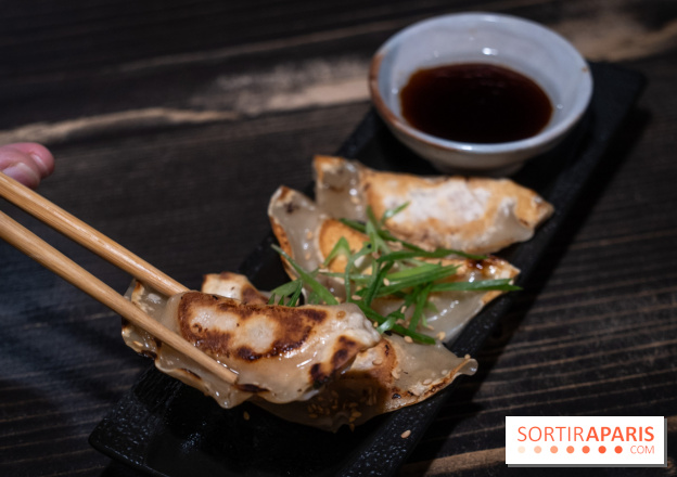 Gaijin Ramen restaurant -  Gyoza