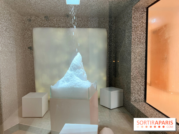 Dolce by Wyndham Versailles - Domaine du Montcel