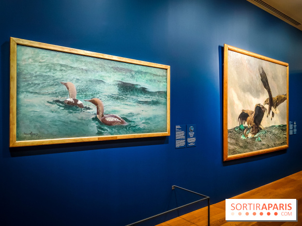 Bruno Liljefors, la Suède sauvage : l'exposition poétique se dévoile en images au Petit Palais - IMG20240930101553