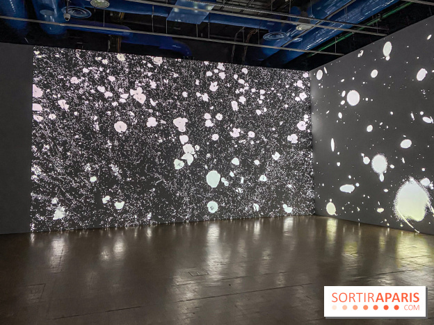 Prix Marcel Duchamp 2024 au Centre Pompidou