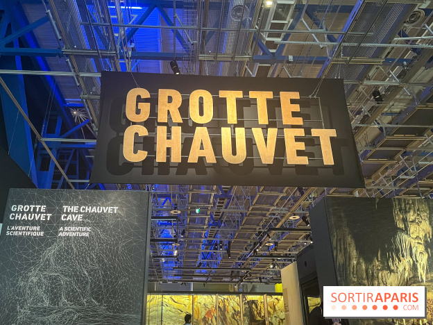 La Grotte Chauvet à la Cité des Sciences, nos photos  - image00018