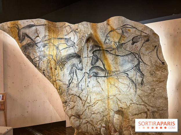 La Grotte Chauvet à la Cité des Sciences, nos photos  - image00010