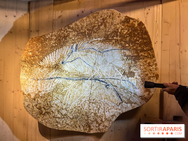 La Grotte Chauvet à la Cité des Sciences, nos photos  - image00005