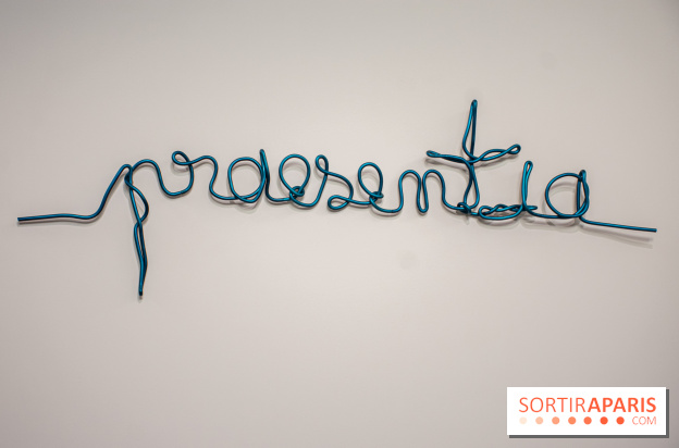 Exposition Praesentia de Myriam Mihindou au Palais de Tokyo - DSC 1619