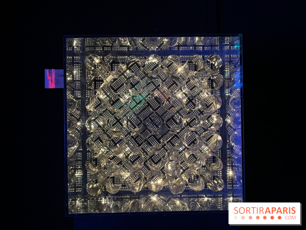 Fondation Cherqui - nos photos - image00017