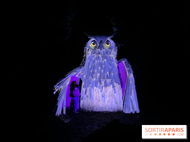 Les Esprits de la Forêt - IMG 5671