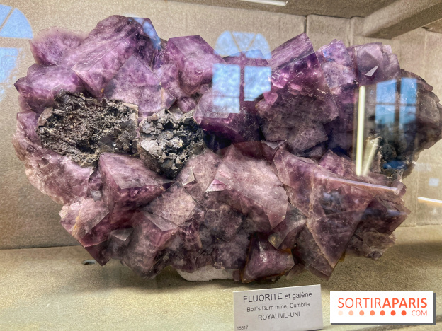 Musée de Minéralogie - IMG 5818