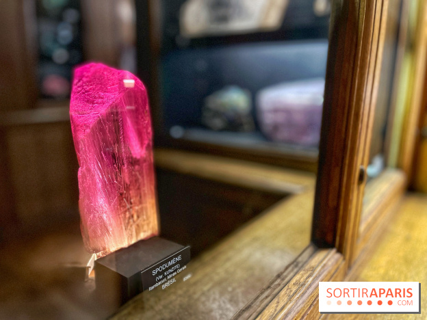 Musée de Minéralogie - IMG 5885