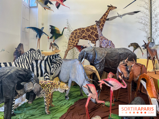 La faune en plis - nos photos - image00025