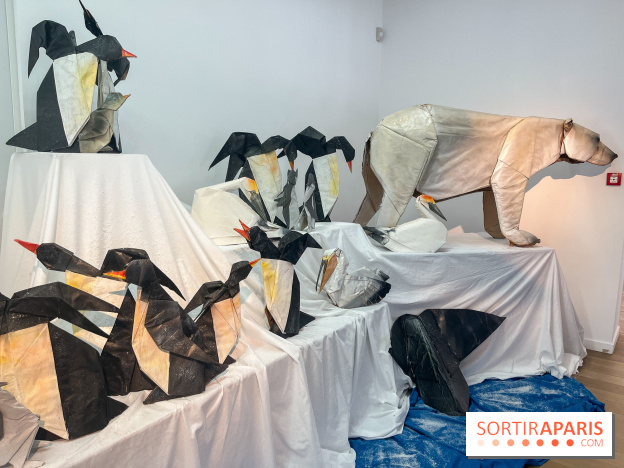 La faune en plis - nos photos - image00019