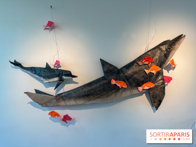 La faune en plis - nos photos - image00015