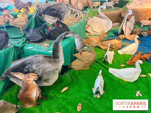 La faune en plis - nos photos - image00008