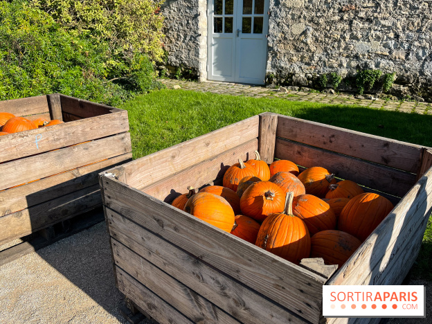 La Fête de la Citrouille - nos photos
