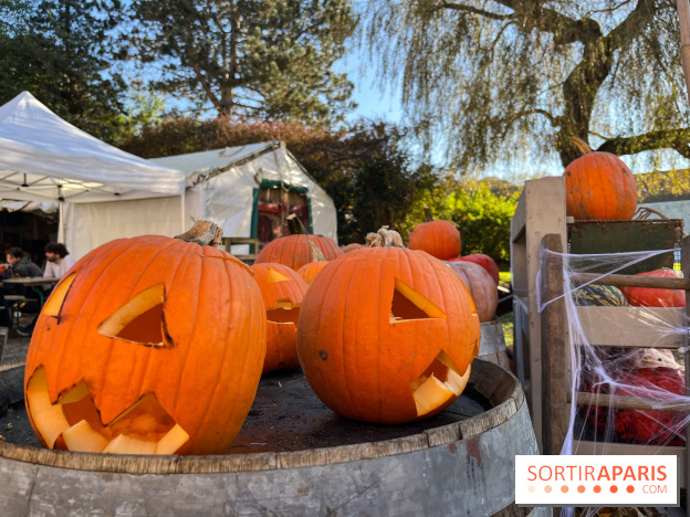 La Fête de la Citrouille - nos photos - image00017