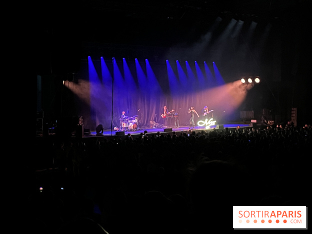 Concert de Lindsey Stirling  - IMG 5969