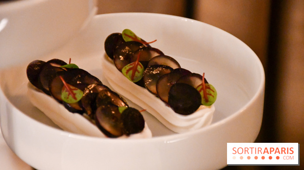 Le Tea Time de l'Hôtel du Prince de Galles à Paris par Hélène Kerloeguen - DSC 2609