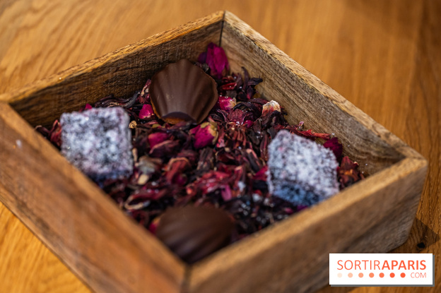 L'Auberge Nicolas Flamel : la plus vieille auberge de Paris et son menu gastronomique - A7C5380