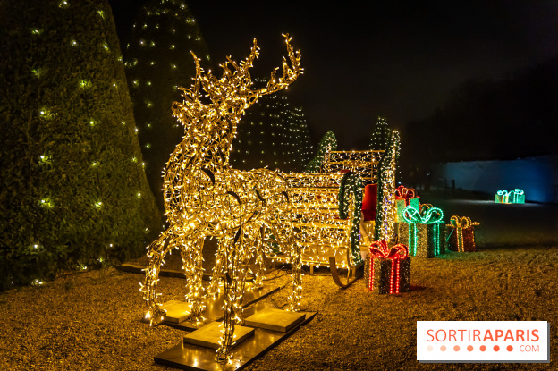 Lumières en Seine 2024, le parcours de lumières féérique et animé - A7C6686