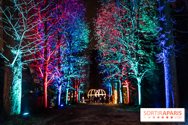 Lumières en Seine 2024, le parcours de lumières féérique et animé - A7C6741