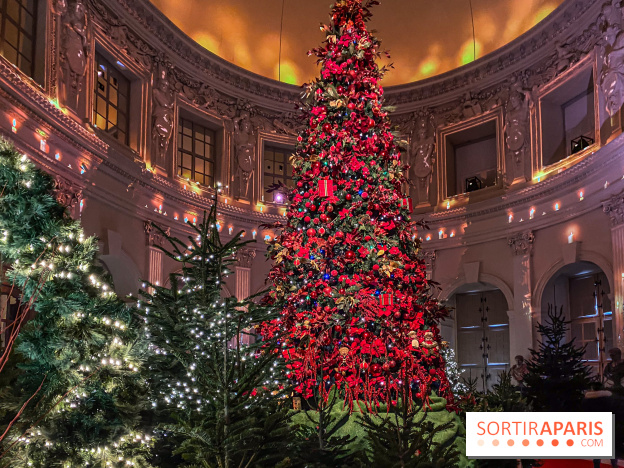 Noël 2024 au Château de Vaux-le-Vicomte : une expérience magique avec une patinoire