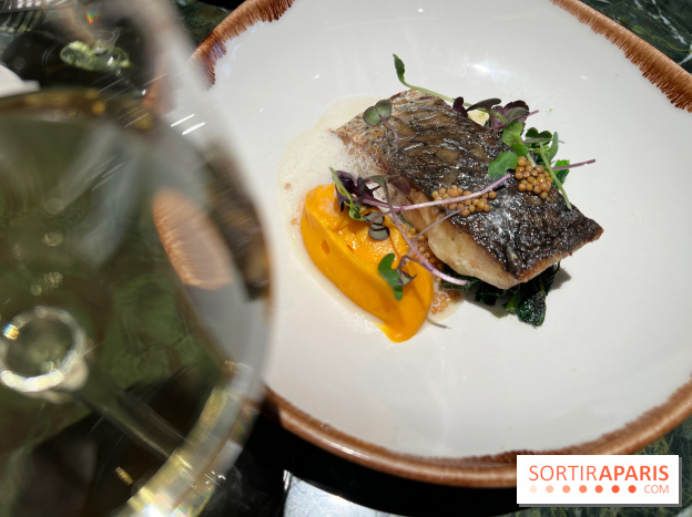 Onyx - Poisson, carotte, gingembre