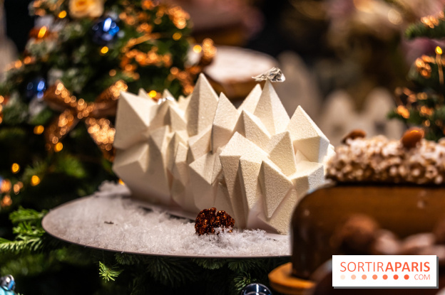 Les bûches de Noël de Jeffrey Cagnes 2024 - photos -  Montage exotique - Cupra